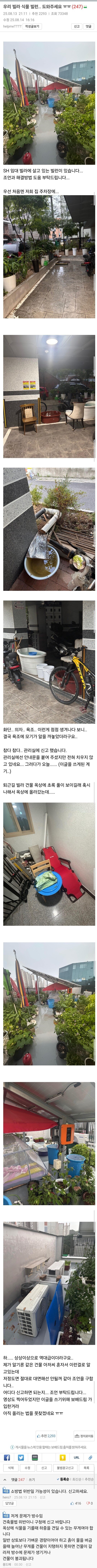 SH 임대 빌라의 식물 빌런.jpg