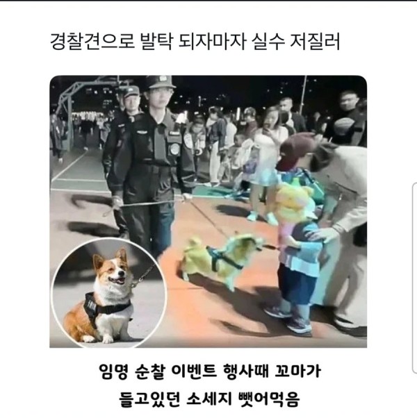 공무원 되자마자 대형사고.jpg