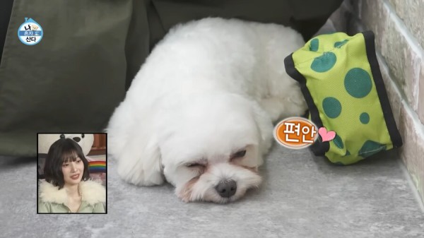 박나래 나가고 오히려 나혼산 시청률이 올라간 이유_16.png